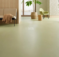 Forbo Marmoleum Solid Cocoa 3593 matcha фото 2 | FLOORDEALER